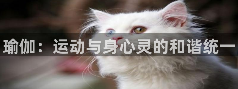 JJB竞技宝官方正版app娱乐代理怎么样:瑜伽:运动与身心灵