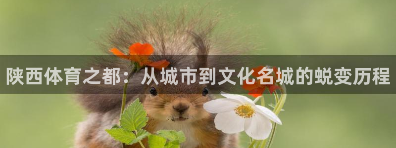 JJB竞技宝官网下载是干嘛的公司:陕西体育之都:从城市到文化